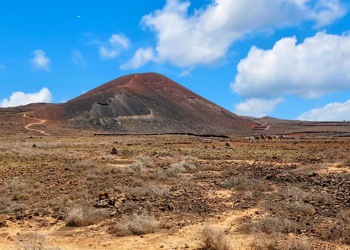 Semesterbostad Sweet Majanicho